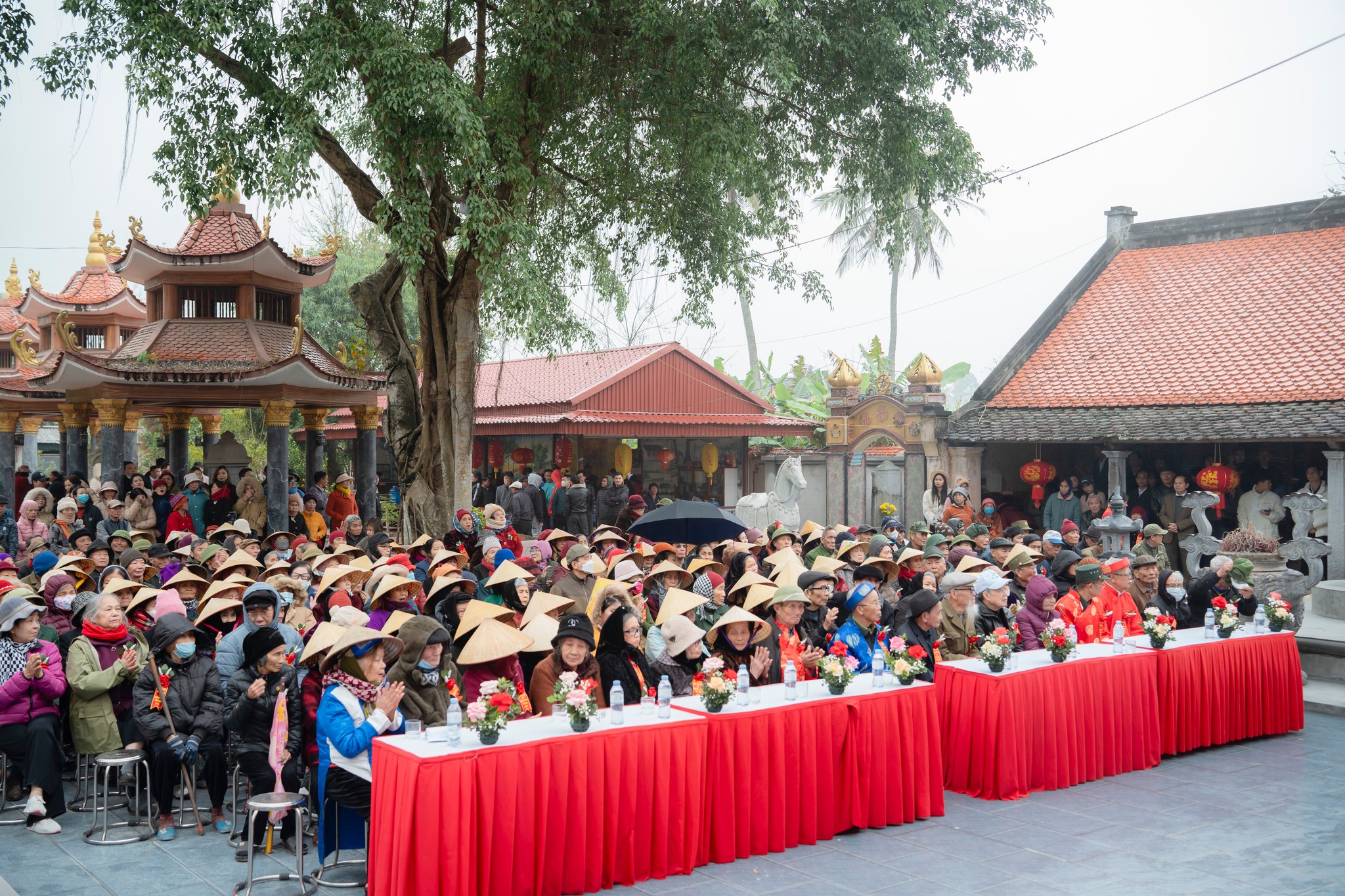 Lễ mừng thọ người cao tuổi - Xuân 2025 copy 099054