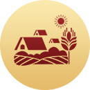 Gần gũi với đời sống địa phương